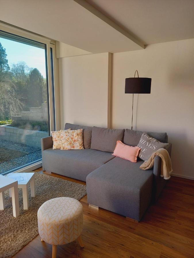 Neue Wohnung An Stadtrand Mit Parkplatz Ebikon 외부 사진
